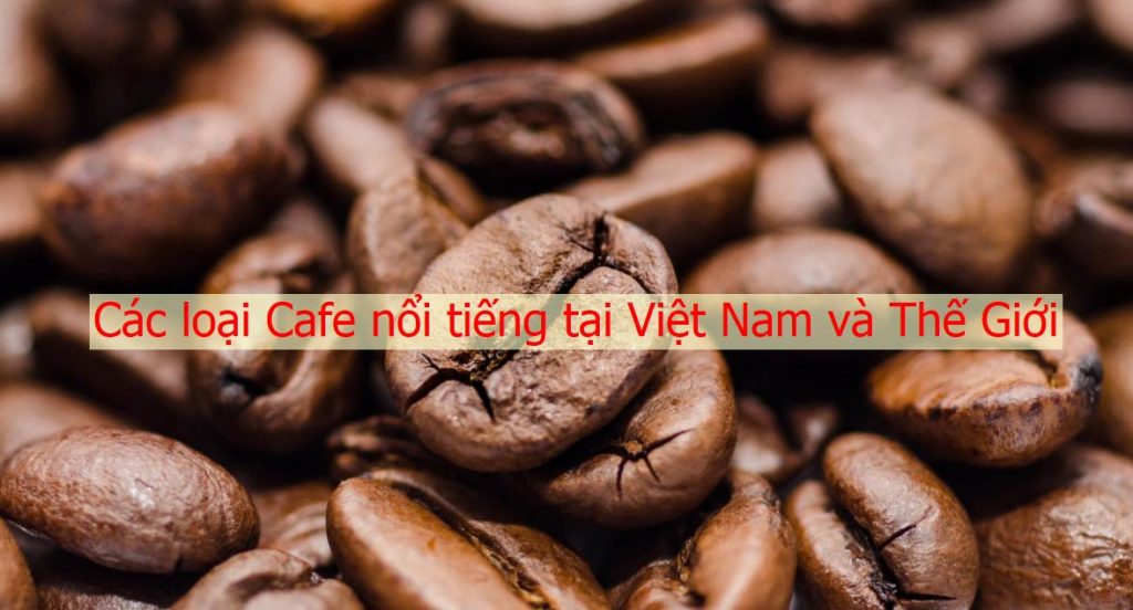 Các loại cafe nổi tiếng tại Việt Nam